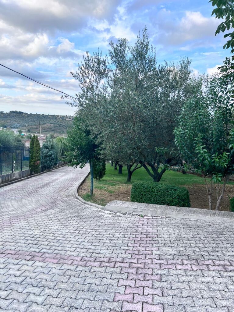 WhatsApp Image 2025-10-17 at 17.47.46_fb7af9dd